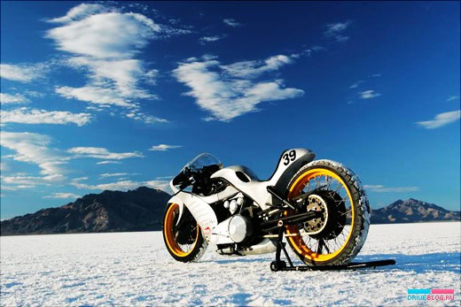 Goldammer Goldmember