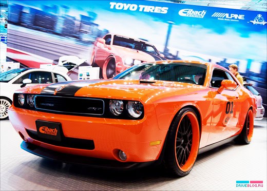 Essen Motor Show 2008: Eibach Dodge Challenger SRT8