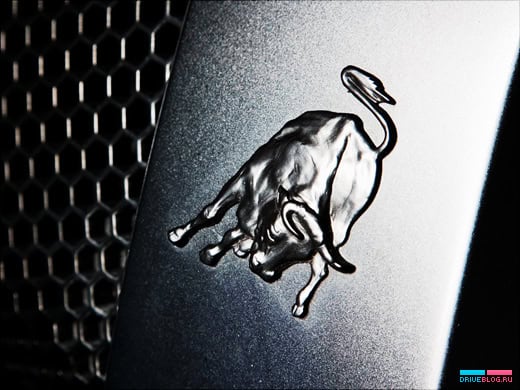 DriveBlog Insider: с Новым 2009 Годом!