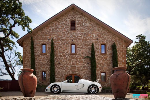 Bugatti Veyron 16.4 Grand Sport