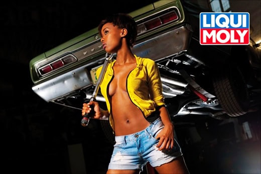 LIQUI MOLY 2010