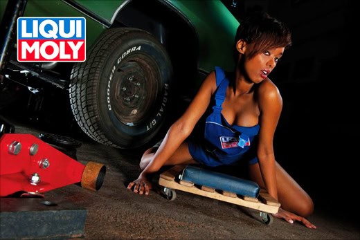 LIQUI MOLY 2010