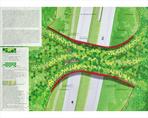ARC Wildlife Crossing Infrastructure Design