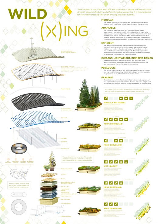 ARC Wildlife Crossing Infrastructure Design