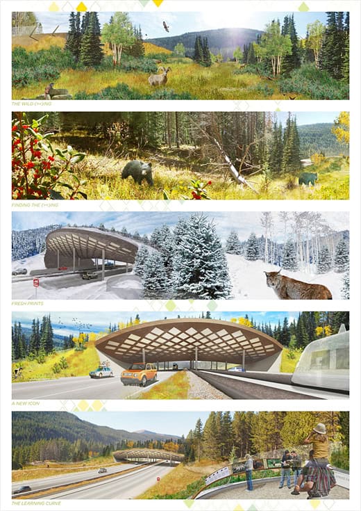 ARC Wildlife Crossing Infrastructure Design