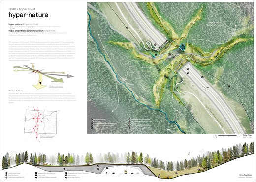 ARC Wildlife Crossing Infrastructure Design