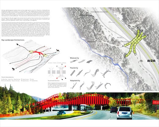 ARC Wildlife Crossing Infrastructure Design