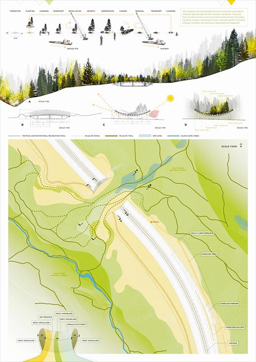 ARC Wildlife Crossing Infrastructure Design