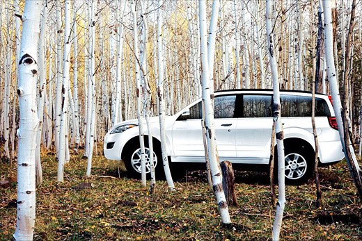 Great Wall Motors