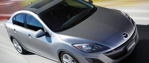 Оазис среди бури