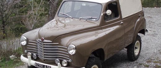 Дальние родственники