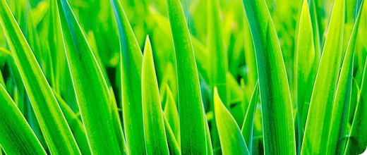 Сегодня актуальны не только электрокары